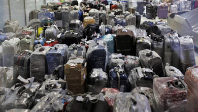 Фото - Грузчик аэропорта дал пассажирам советы по недопуску «швыряния» их чемоданов: Мнения