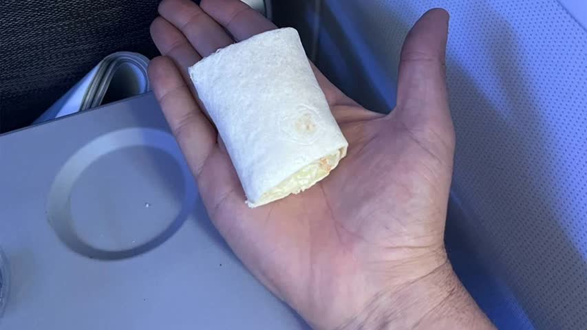 Фото - Турист получил за семичасовой полет всего один сэндвич и удивился его размеру